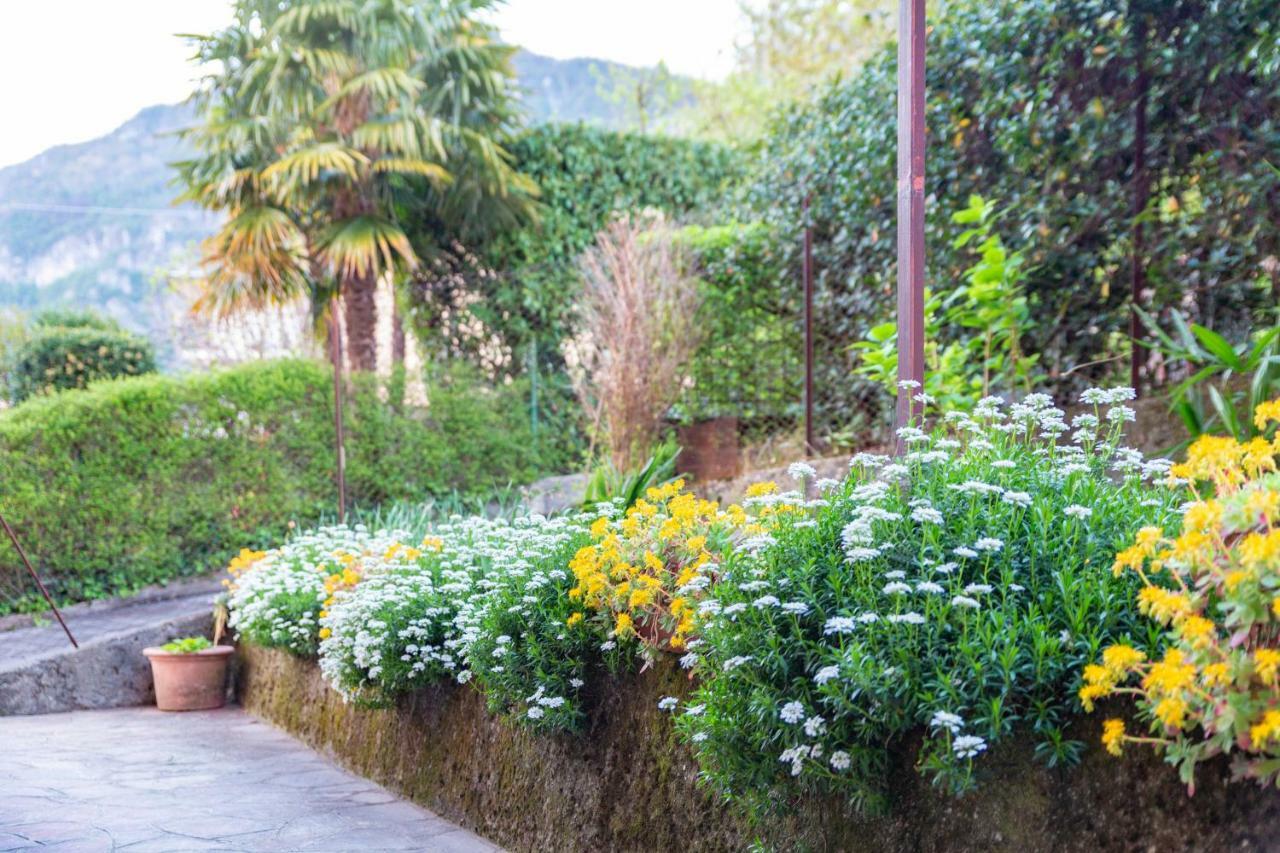 Casa Alice Apartment เลียร์นา ภายนอก รูปภาพ